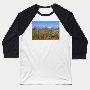 Summer came to Grand Teton Baseball T-Shirt